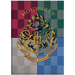 Foto van Harry potter fleecedeken hogwarts junior 110 x 140 cm