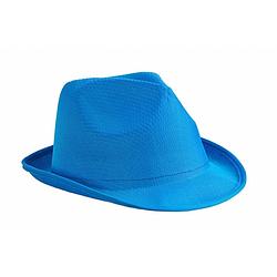 Foto van Trilby feesthoedje blauw voor volwassenen - verkleedhoofddeksels