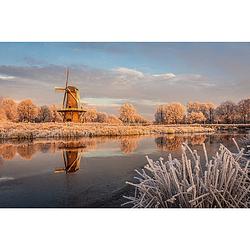 Foto van Inductiebeschermer - winterse molen - 60x60 cm