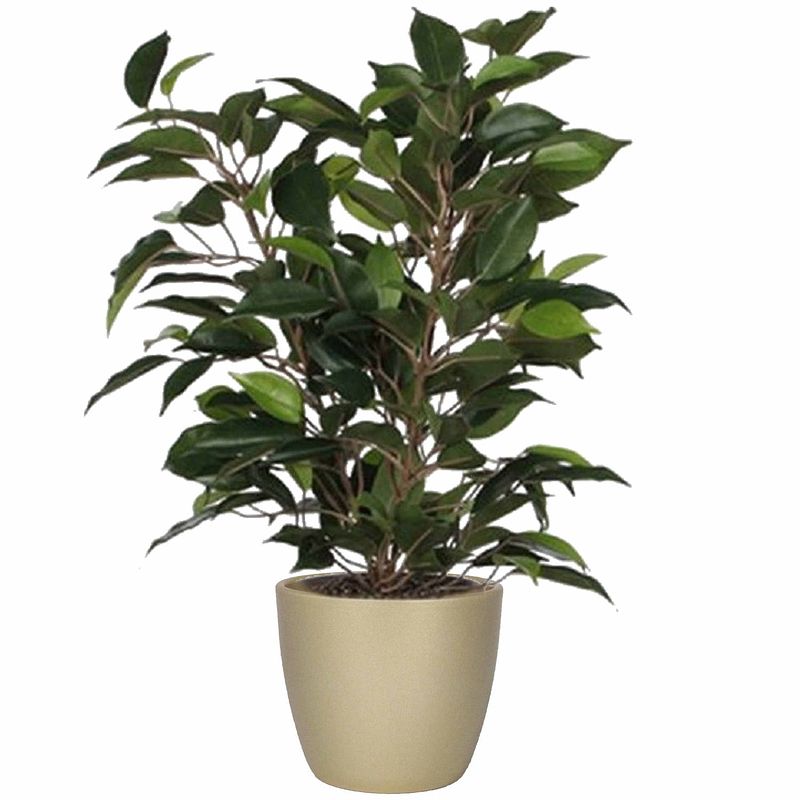 Foto van Groene ficus kunstplant 40 cm met plantenpot parelgoud d13.5 en h12.5 cm - kunstplanten