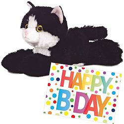 Foto van Pluche knuffel kat/poes zwart/witte 20 cm met a5-size happy birthday wenskaart - knuffel huisdieren