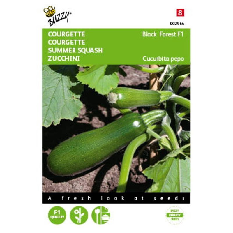 Foto van 5 stuks courgette klimmend black forest f1 tuinplus