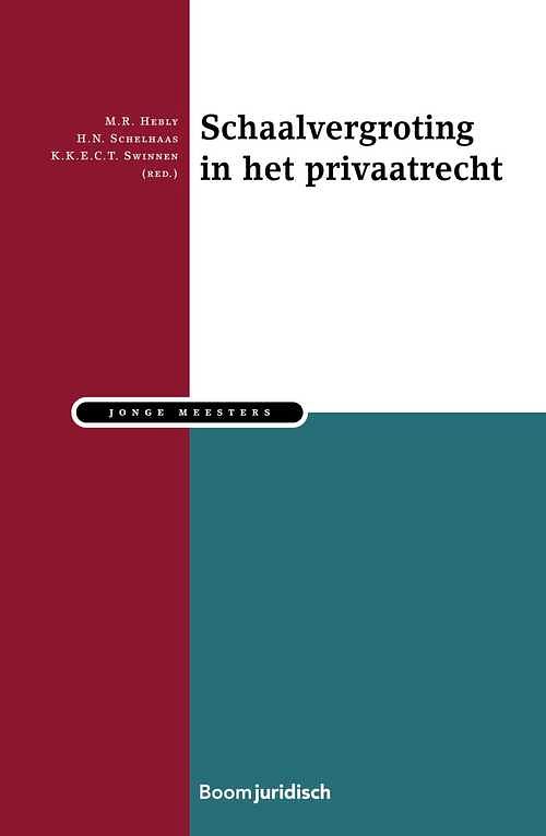 Foto van Schaalvergroting in het privaatrecht - ebook (9789460944321)