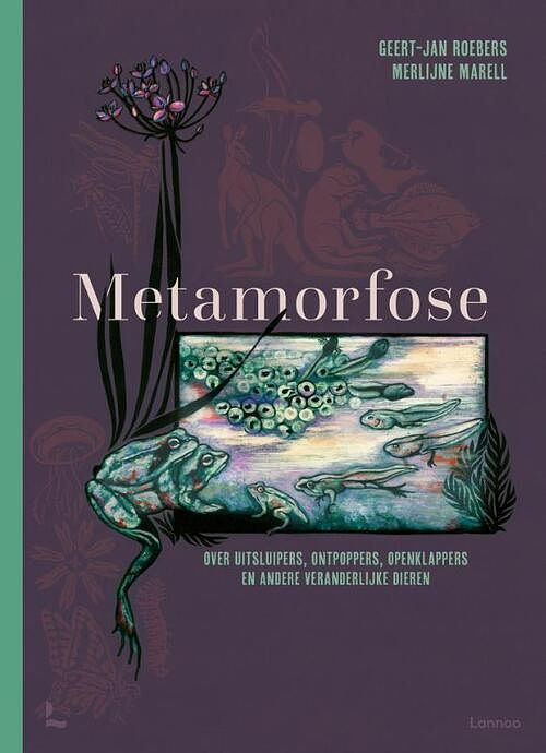 Foto van Metamorfose - geert-jan roebers - hardcover (9789401471404)