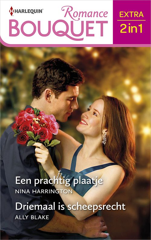 Foto van Een prachtig plaatje / driemaal is scheepsrecht - nina harrington, ally blake - ebook