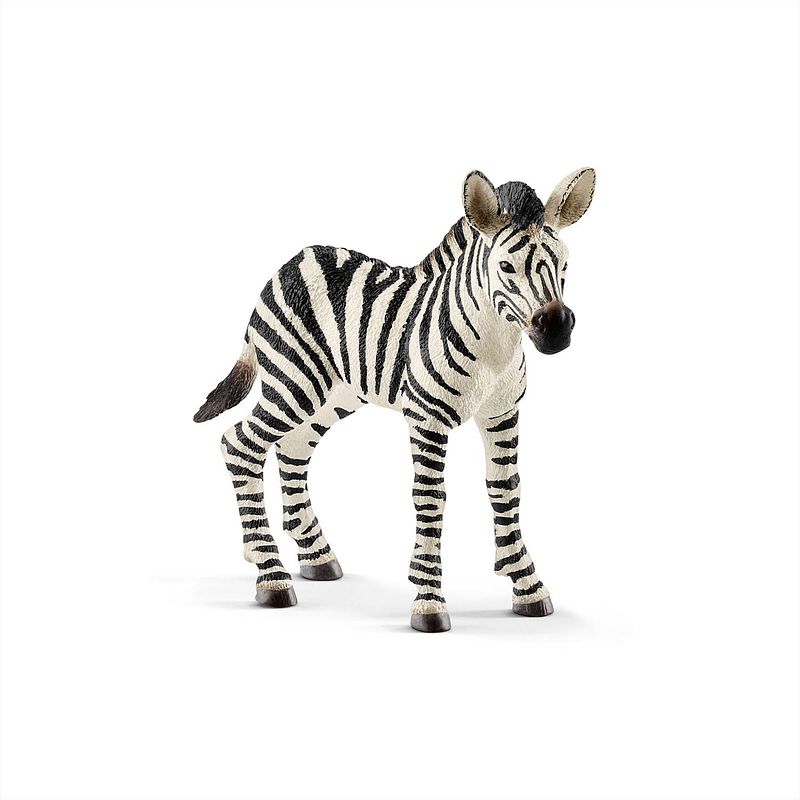 Foto van Zebra jong schleich - speelfiguur schleich wild life -14811