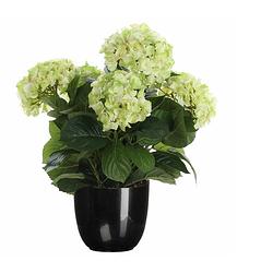 Foto van Hortensia kunstplant/kunstbloemen 45 cm - groen - in pot zwart glans - kunstplanten