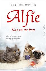 Foto van Kat in de kou - rachel wells - ebook