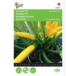 Foto van 2 stuks zucchini gold rush f1