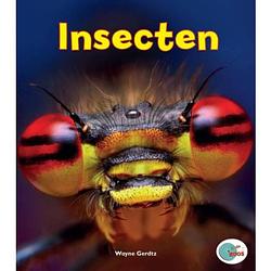 Foto van Insecten - in de roos