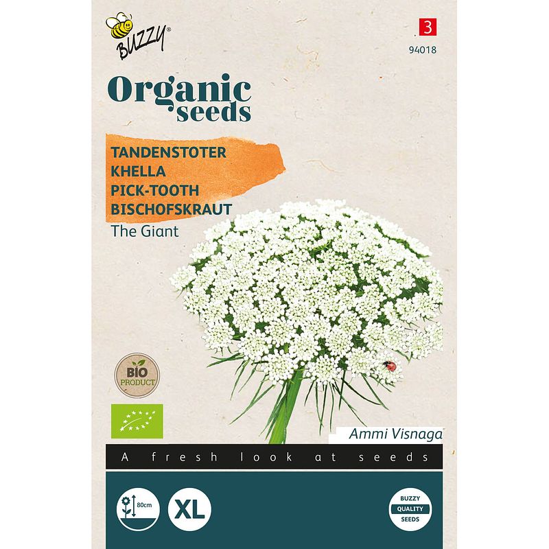 Foto van Buzzy - organic tandenstoker ammi visnagia the giant bio