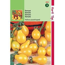 Foto van 2 stuks tomaten yellow pearshaped