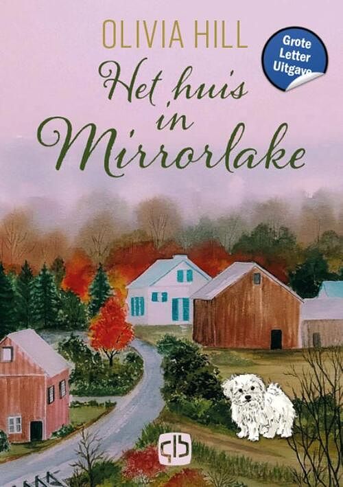 Foto van Het huis in mirrorlake -grote letter uitgave - olivia hill - hardcover (9789036440592)