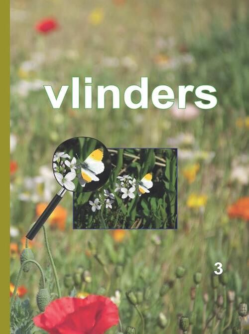 Foto van Vlinders - j c koudenburg, j t boer - paperback (9789491701443)
