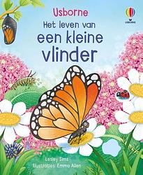 Foto van Een kleine vlinder - kartonboekje;kartonboekje (9781805310167)