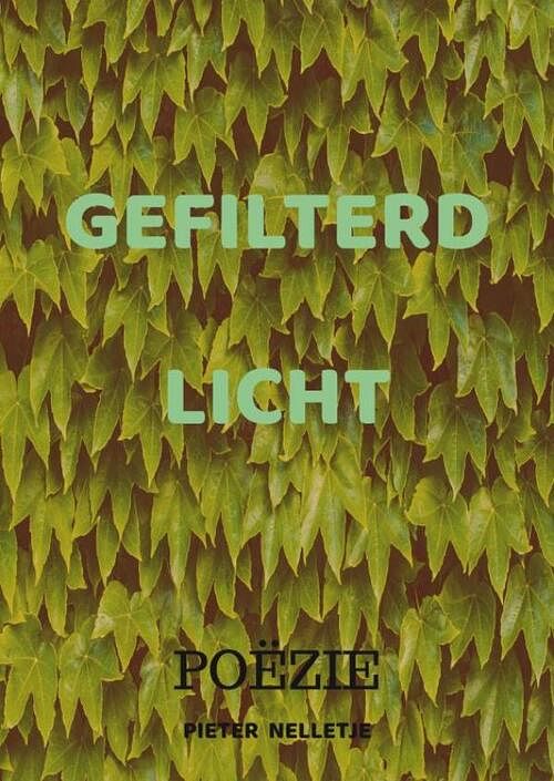 Foto van Gefilterd licht - pieter nelletje - paperback (9789403709833)