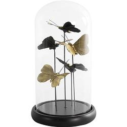 Foto van Non-branded stolp isabel vlinders 14 x 26 cm glas goud/zwart