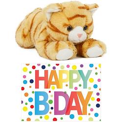 Foto van Cadeau setje pluche rood/witte kat/poes knuffel 25 cm met happy birthday wenskaart - knuffel huisdieren