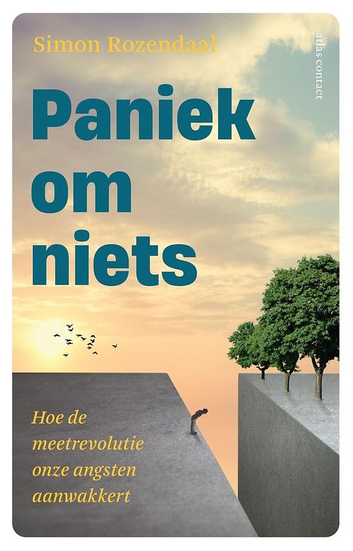 Foto van Paniek om niets - simon rozendaal - ebook