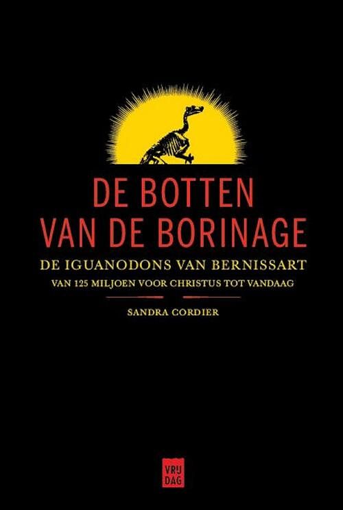 Foto van De botten van de borinage - sandra cordier - ebook (9789460014888)