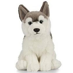 Foto van Pluche grijs/witte husky hond knuffel 25 cm -honden huisdieren knuffels - speelgoed voor kinderen