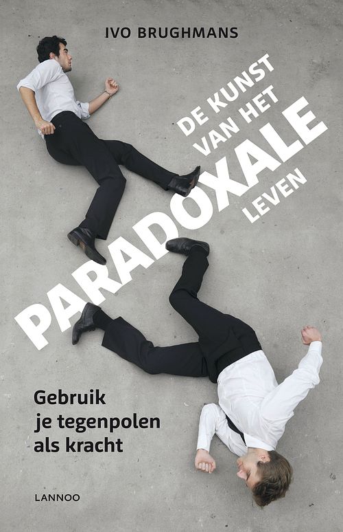 Foto van De kunst van het paradoxale leven - ivo brughmans - ebook (9789401407229)