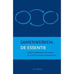 Foto van Samenwerken: de essentie