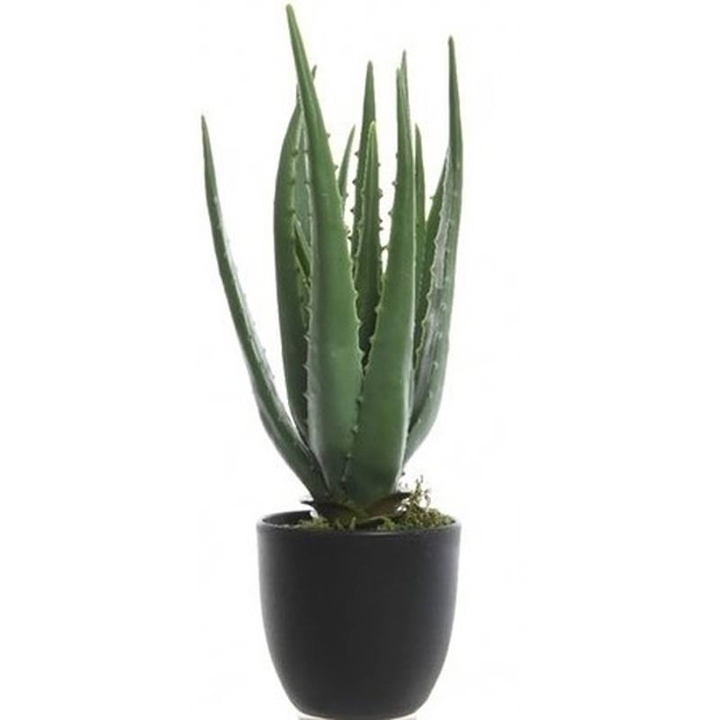 Foto van Groene aloe vera kunstplant 35 cm in zwarte pot - kunstplanten