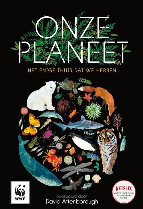 Foto van Onze planeet - matt whyman - hardcover (9789402704488)