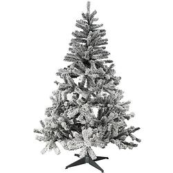 Foto van Kerstboom tuscan spruce sneeuw 180cm