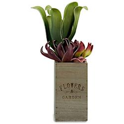 Foto van Ibergarden kunstplant vetplant 50 x 10 cm hout groen/rood