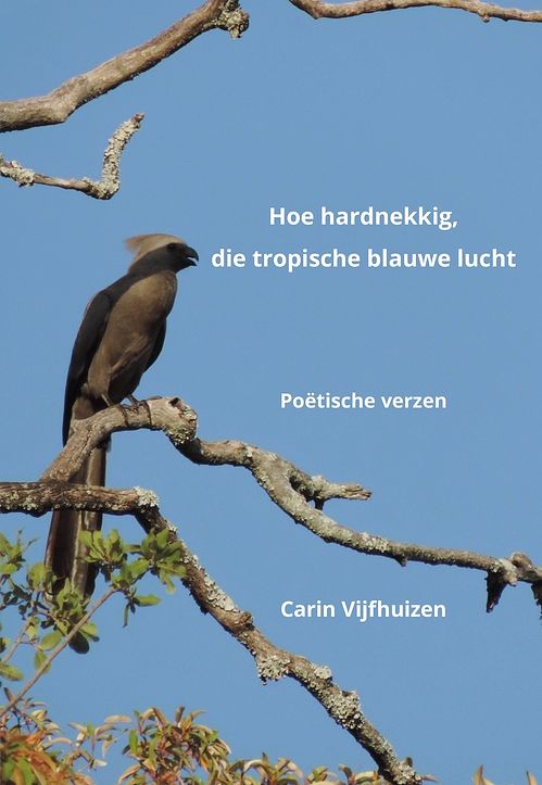 Foto van Hoe hardnekkig, die tropische blauwe lucht - carin vijfhuizen - ebook