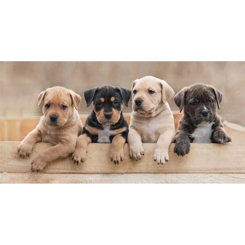 Foto van Animal pictures strandlaken puppies - 70 x 140 cm - multi