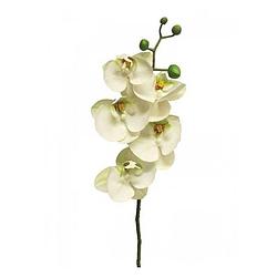 Foto van Nova nature - kunst phalaenopsis orchidee bora 58 cm - wit