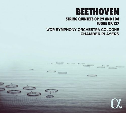 Foto van Beethoven: string quintets op.29 & 104, fugue op.137 - cd (3760014195853)