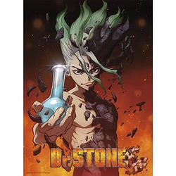 Foto van Abystyle dr stone senku poster 38x52cm