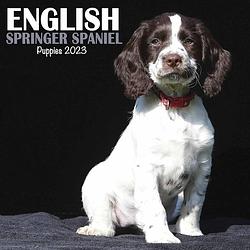 Foto van Engelse springer spaniel kalender 2023 mini