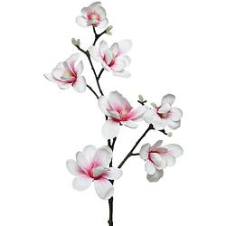 Foto van Witte/roze magnolia/beverboom kunsttak kunstplant 100 cm - kunstbloemen