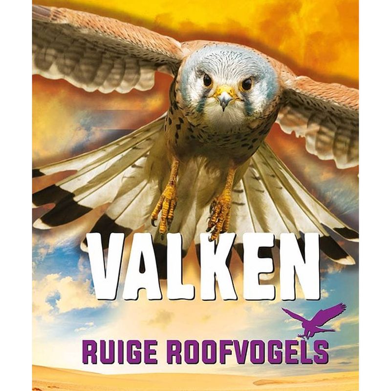 Foto van Valken