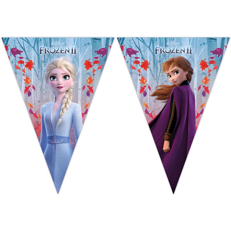 Foto van Folat vlaggenlijn frozen ii meisjes 200 cm blauw/paars