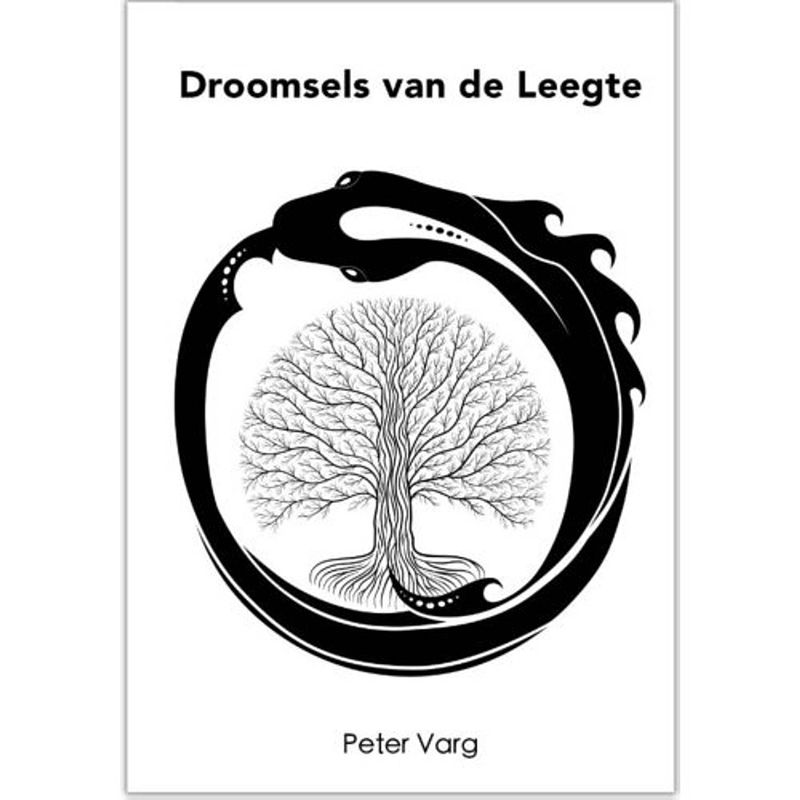 Foto van Droomsels van de leegte