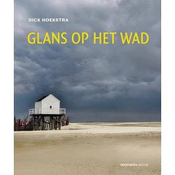 Foto van Glans op het wad