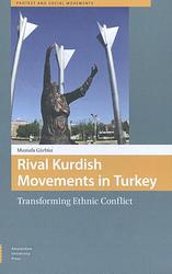 Foto van Rival kurdish movements in turkey - mustafa gürbüz - ebook (9789048527427)