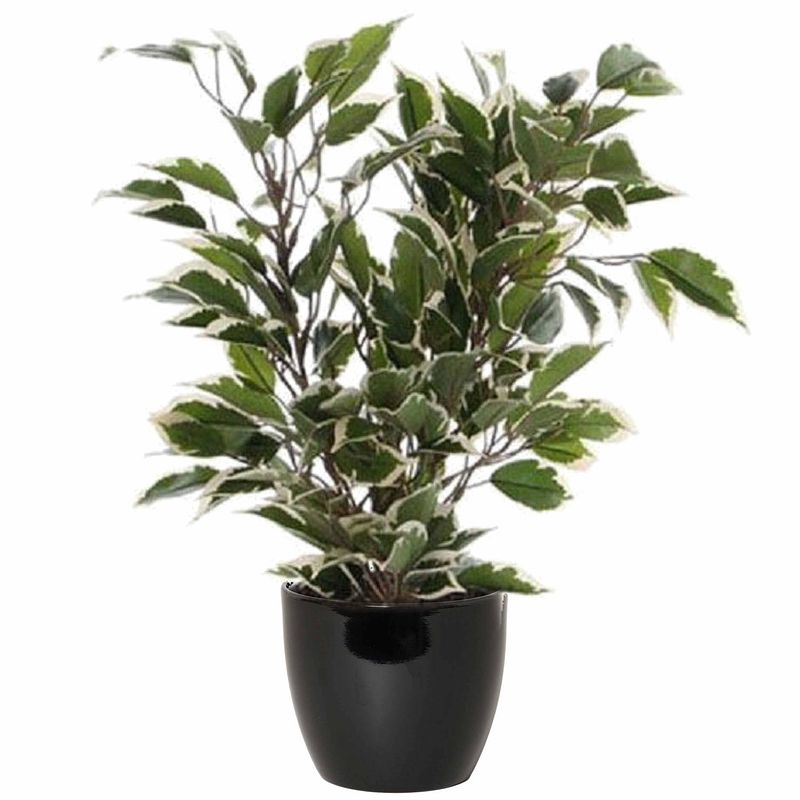 Foto van Groen/witte ficus kunstplant 40 cm met plantenpot zwart d13.5 en h12.5 cm - kunstplanten