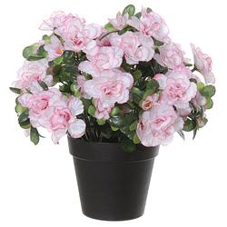 Foto van Azalea kunstbloemen - in pot - wit/roze - h28 cm - kunstplanten