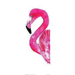 Foto van Pyramid sofie rolfsdotter flamingo poster 30,5x91,5cm