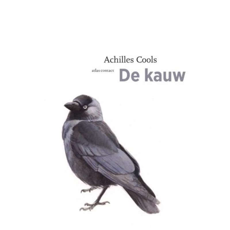 Foto van De kauw - de vogelserie