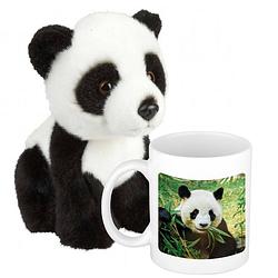 Foto van Cadeauset kind - panda knuffel 18 cm en drinkbeker/mol panda 300 ml - knuffeldier