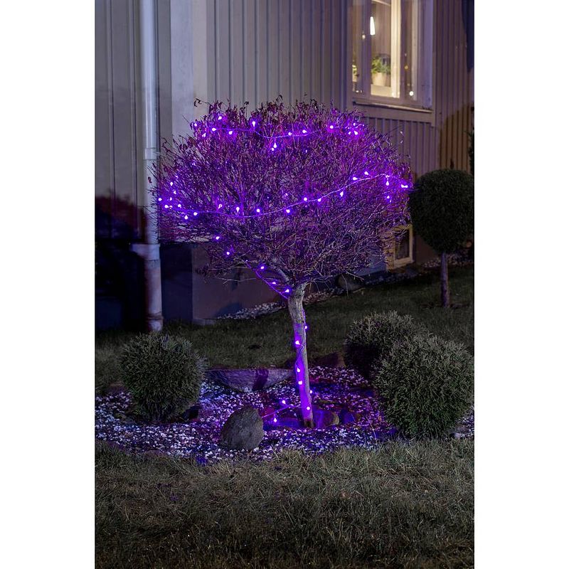 Foto van Konstsmide 3697-540 mini-lichtketting buiten werkt op het lichtnet aantal lampen 40 led meerkleurig verlichte lengte: 3.12 m