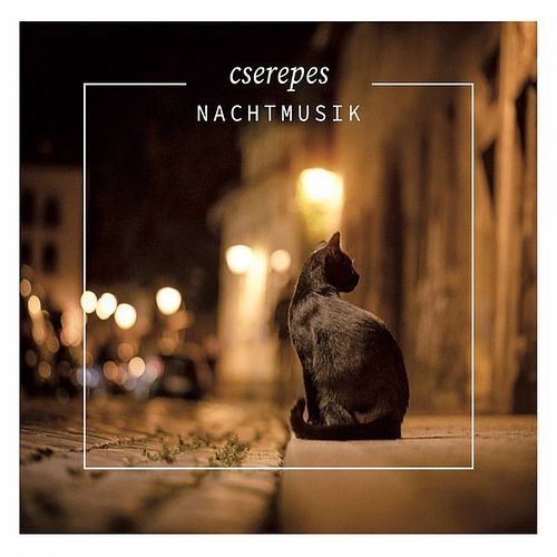 Foto van Nachtmusik - cd (5998048547920)